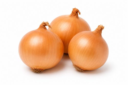 cebula