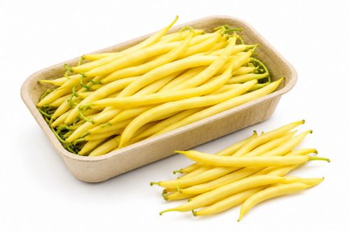 fasolkazolta