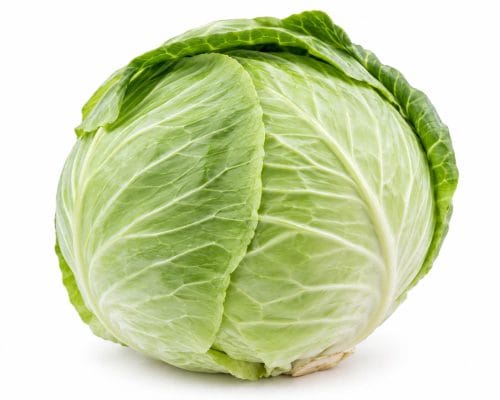 kapusta biala